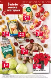 Gazetka promocyjna Stokrotka - Supermarket - Gazetka - ważna od 20.12 do 20.12.2023 - strona 12 - produkty: Warzywa, Ziemniaki, Gwiazda, Sałat, Buraki, Owoce, Mięso, Jabłka
