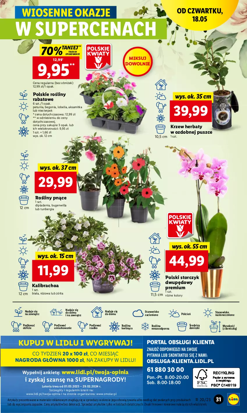 Gazetka promocyjna Lidl - GAZETKA - ważna 18.05 do 20.05.2023 - strona 39 - produkty: Aksam, Cień, Gry, Mola, O nas, Por, Sok, Storczyk