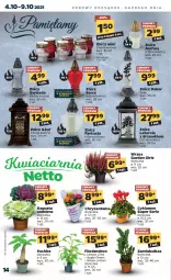 Gazetka promocyjna Netto - Gazetka spożywcza - Gazetka - ważna od 09.10 do 09.10.2021 - strona 14 - produkty: Latarnia, Ser, Cyklamen, Gwiazda, , Znicz, Fanta, Fa