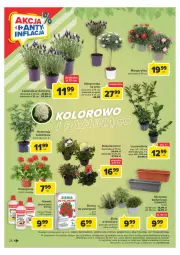 Gazetka promocyjna Carrefour - Gazetka Carrefour - Gazetka - ważna od 06.05 do 06.05.2023 - strona 26 - produkty: Mus, Gra, Biohumus, , Laur, Bukiet, Flora, Nawóz