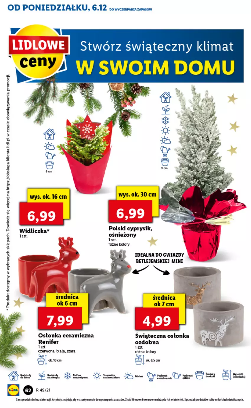 Gazetka promocyjna Lidl - GAZETKA - ważna 06.12 do 08.12.2021 - strona 62 - produkty: Cyprysik, Osłonka, Renifer