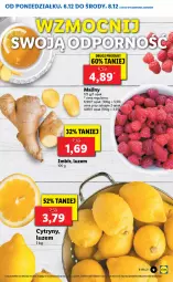 Gazetka promocyjna Lidl - GAZETKA - Gazetka - ważna od 08.12 do 08.12.2021 - strona 9 - produkty: Cytryny, Maliny, Imbir, Fa