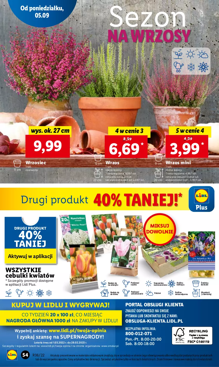 Gazetka promocyjna Lidl - GAZETKA - ważna 05.09 do 07.09.2022 - strona 58 - produkty: Cień, Gry, Mola, O nas, Por, Sok