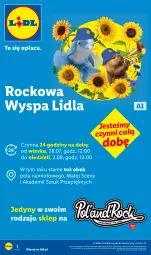 Gazetka promocyjna Lidl - Pol'and'Rock - Gazetka - ważna od 01.08 do 01.08.2026 - strona 2 - produkty: Gra, Namiot, Grafika