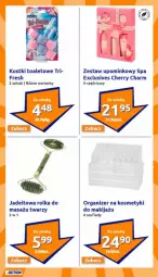 Gazetka promocyjna Action - Gazetka - ważna od 04.02 do 04.02.2025 - strona 15 - produkty: Makijaż, Organizer