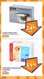 Gazetka promocyjna Action - Gazetka - ważna od 04.02 do 04.02.2025 - strona 25 - produkty: Lampa, Lampa ścienna, Podkład