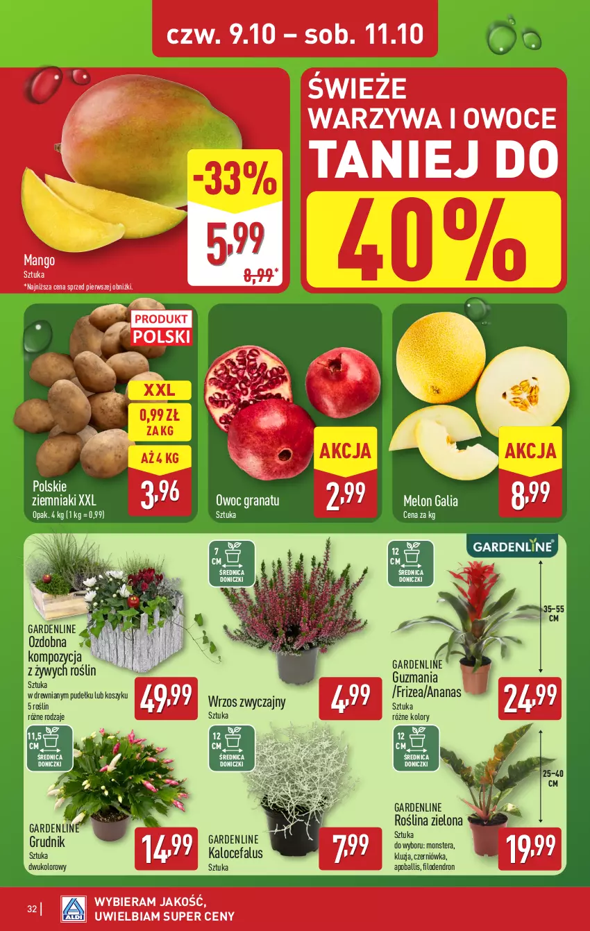 Gazetka promocyjna Aldi - Pełna oferta - ważna 06.10 do 11.10.2025 - strona 32 - produkty: Ananas, Fa, Gra, Granat, Kosz, Mango, Melon, Owoce, Tera, Warzywa, Warzywa i owoce, Ziemniaki