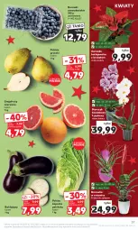 Gazetka promocyjna Kaufland - Gazetka tygodnia - Gazetka - ważna od 13.12 do 13.12.2023 - strona 37 - produkty: Kask, Gwiazda, Gruszki, Storczyk, Bromelia, Grunt, Grejpfrut