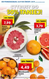 Gazetka promocyjna Lidl - GAZETKA - Gazetka - ważna od 24.11 do 24.11.2021 - strona 6 - produkty: Mandarynki
