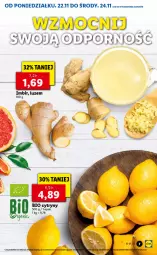 Gazetka promocyjna Lidl - GAZETKA - Gazetka - ważna od 24.11 do 24.11.2021 - strona 7 - produkty: Por, Cytryny, Amica, Imbir