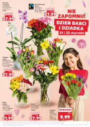 Gazetka promocyjna Kaufland - Gazetka tygodnia - Gazetka - ważna od 21.01 do 21.01.2026 - strona 7 - produkty: Tulipan, Storczyk, Bukiet, Fa