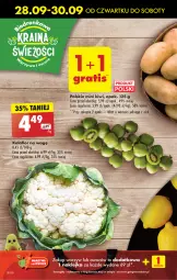 Gazetka promocyjna Biedronka - Od czwartku - Gazetka - ważna od 04.10 do 04.10.2023 - strona 22 - produkty: Kalafior, Kiwi