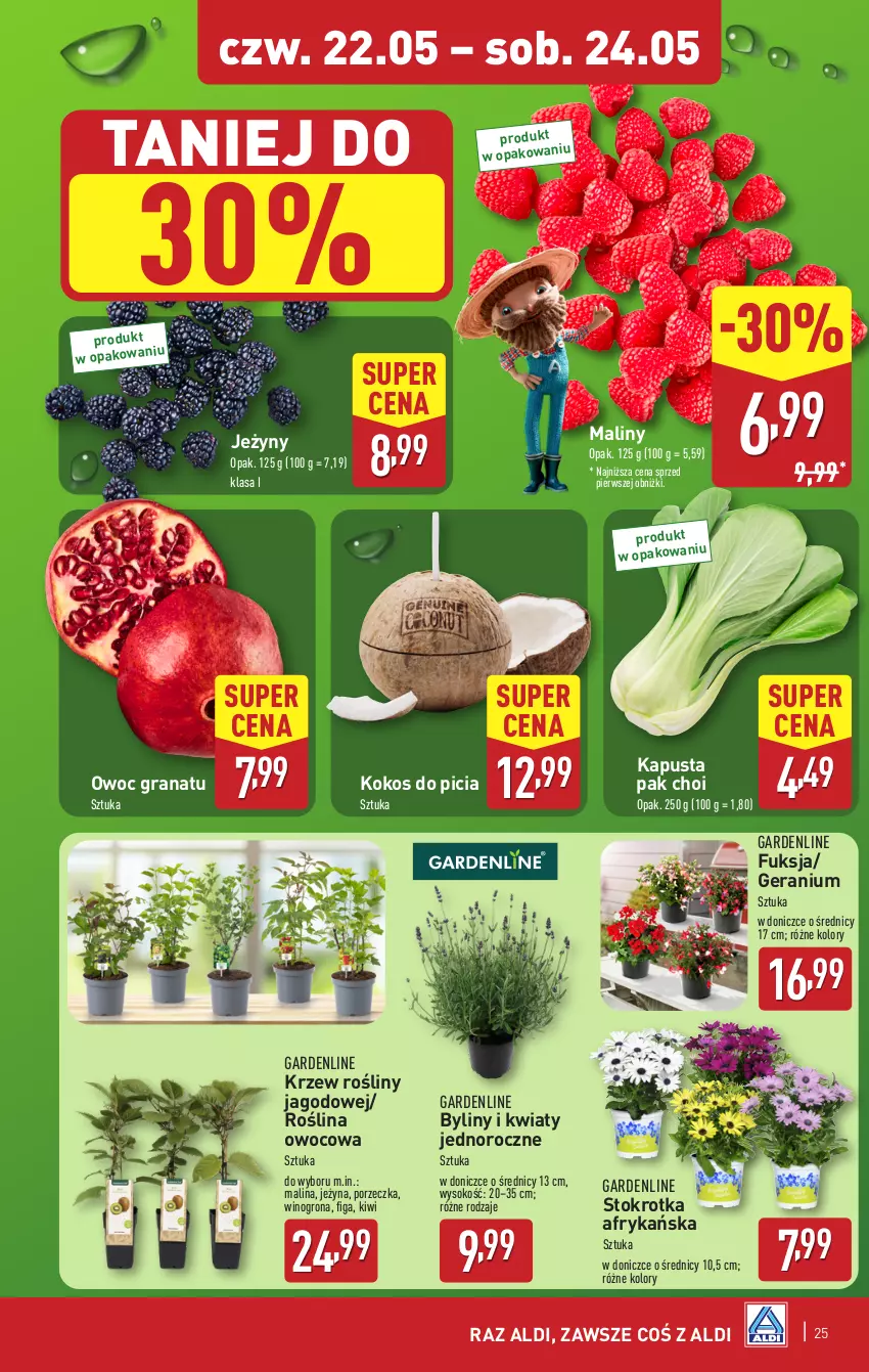 Gazetka promocyjna Aldi - Pełna oferta - ważna 19.05 do 24.05.2025 - strona 25 - produkty: Gra, Granat, Jeżyny, Kiwi, Kokos, Maliny, Por, Sok, Wino, Winogrona
