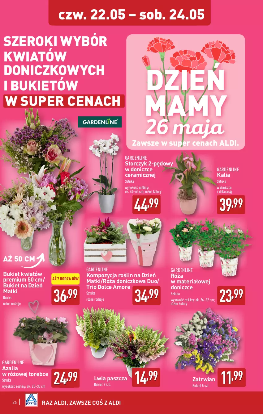 Gazetka promocyjna Aldi - Pełna oferta - ważna 19.05 do 24.05.2025 - strona 26 - produkty: Bukiet, Róża, Sok, Storczyk