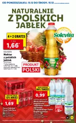 Gazetka promocyjna Lidl - GAZETKA - Gazetka - ważna od 15.12 do 15.12.2021 - strona 47 - produkty: Woda mineralna, Woda, Nektar, Magnez