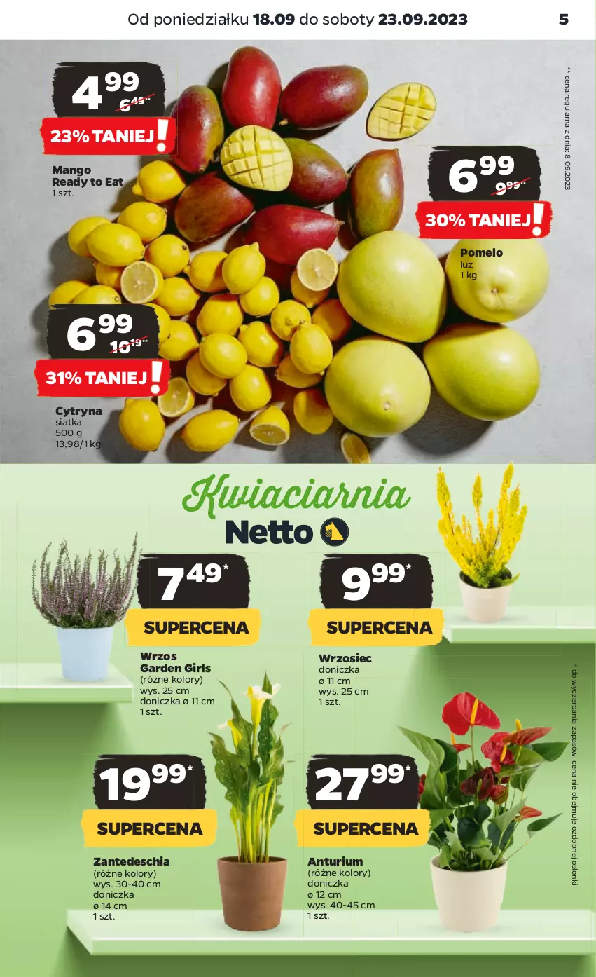 Gazetka promocyjna Netto - Artykuły spożywcze - ważna 18.09 do 23.09.2023 - strona 5 - produkty: Chia, Mango, Pomelo, Siatka