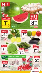 Gazetka promocyjna Intermarche - Gazetka promocyjna - Gazetka - ważna od 20.08 do 20.08.2025 - strona 11 - produkty: Piec, Sałata lodowa, Papryka, Ogórek, Czosnek, Siatka, Sałat, Pieczarka, Arbuz
