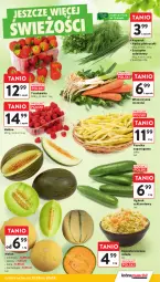 Gazetka promocyjna Intermarche - Gazetka promocyjna - Gazetka - ważna od 20.08 do 20.08.2025 - strona 25 - produkty: Ogórek, Sałat, Natka pietruszki, Melon, Fa