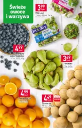 Gazetka promocyjna Stokrotka - Supermarket - Gazetka - ważna od 18.01 do 18.01.2023 - strona 3 - produkty: Ziemniaki, Pomarańcze, Siatka, Sałat, Gruszki