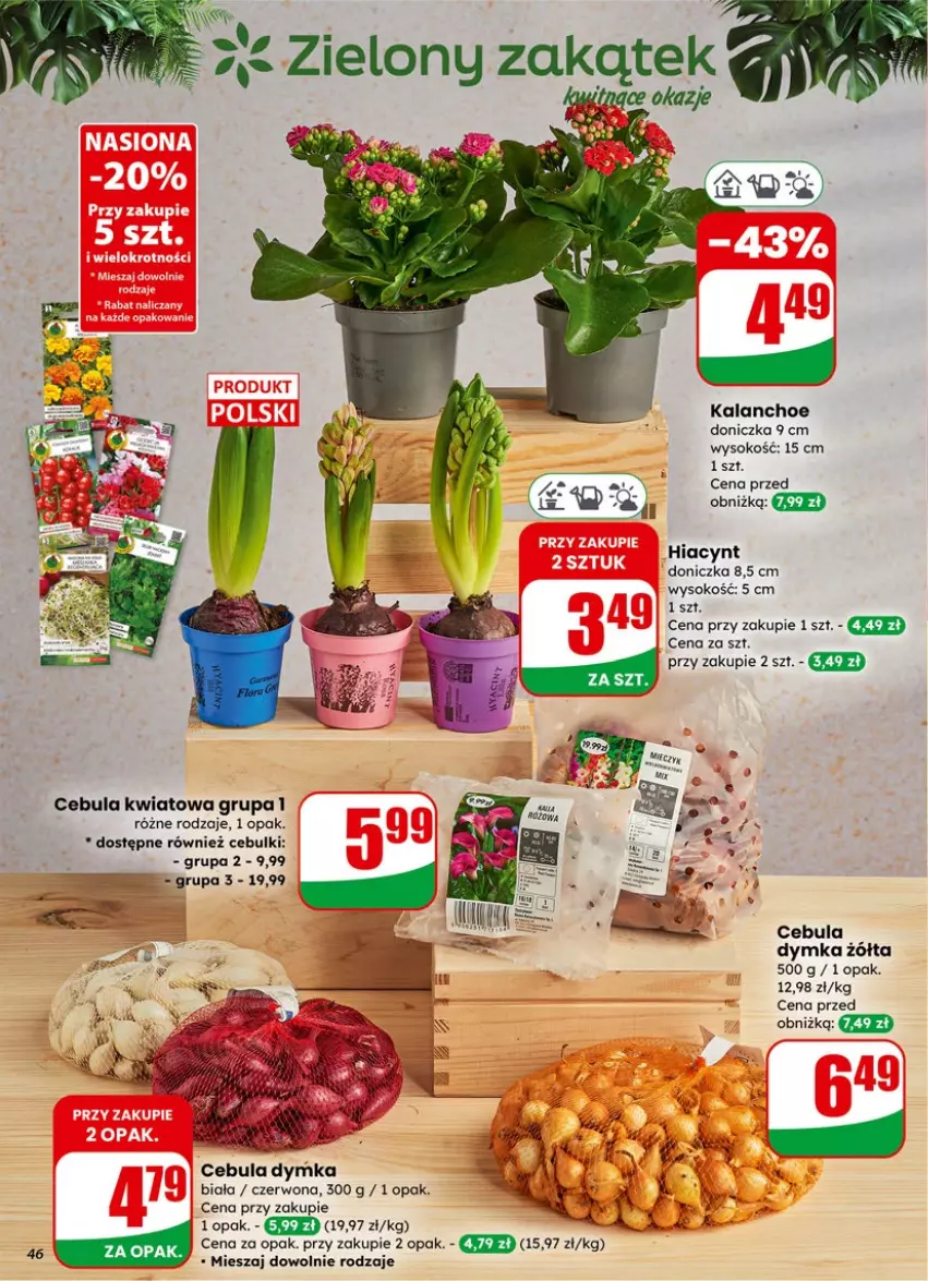 Gazetka promocyjna Dino - Gazetka 05 / 2026 - ważna 27.01 do 03.02.2026 - strona 46 - produkty: Cebula, Hiacynt, Kalanchoe, Sok