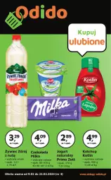 Gazetka promocyjna Odido - Gazetka - ważna od 22.02 do 22.02.2024 - strona 1 - produkty: Ketchup, Jogurt naturalny, Zott, Jogurt, Czekolada, Kotlin, Milka