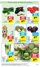 Gazetka promocyjna Carrefour - Gazetka - ważna od 17.05 do 17.05.2025 - strona 14 - produkty: Cebula, Koper włoski, Fa