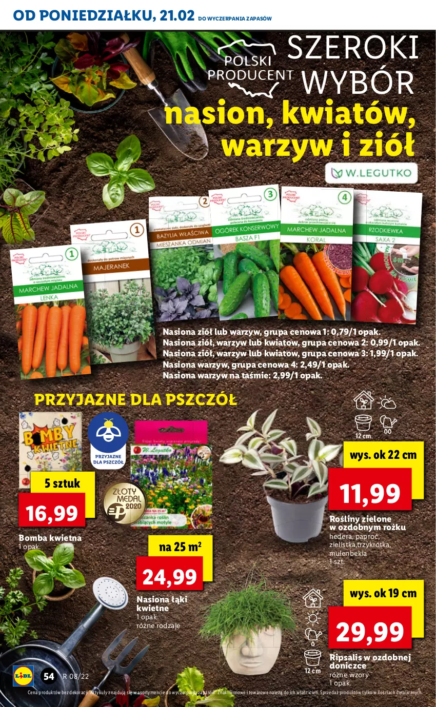 Gazetka promocyjna Lidl - GAZETKA - ważna 21.02 do 23.02.2022 - strona 54 - produkty: Mule