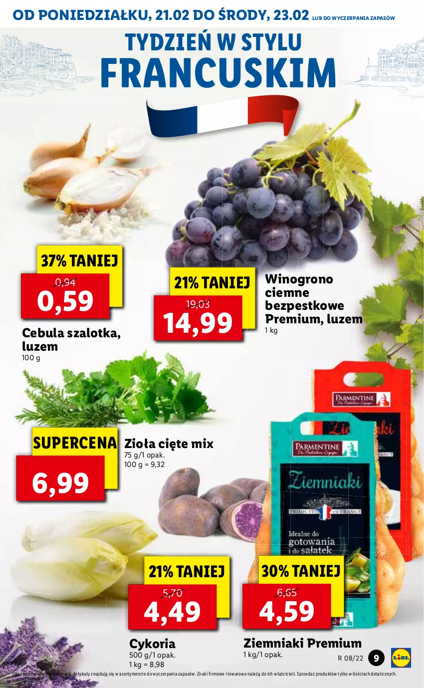 Gazetka promocyjna Lidl - GAZETKA - ważna 21.02 do 23.02.2022 - strona 9