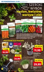 Gazetka promocyjna Lidl - GAZETKA - Gazetka - ważna od 23.02 do 23.02.2022 - strona 54 - produkty: Mule