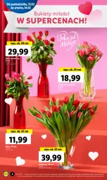 Gazetka promocyjna Lidl - GAZETKA - Gazetka - ważna od 15.02 do 15.02.2023 - strona 2 - produkty: Koc, Tulipan, Bukiet