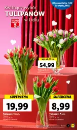 Gazetka promocyjna Lidl - GAZETKA - Gazetka - ważna od 15.02 do 15.02.2023 - strona 3 - produkty: Tulipan, Bukiet