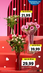 Gazetka promocyjna Lidl - GAZETKA - Gazetka - ważna od 15.02 do 15.02.2023 - strona 5 - produkty: Gerber, Bukiet
