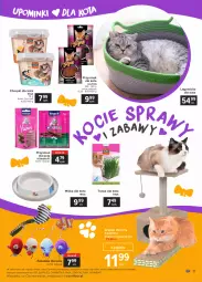 Gazetka promocyjna Carrefour - Gazetka Zoostaliśmy przyjaciółmi - Gazetka - ważna od 10.07 do 10.07.2021 - strona 11 - produkty: Kurczak, Vitakraft, Papier, Chrupki, Zabawka, LEGO, Drapak, Przysmak dla kota, Miska, Legowisko, Fa