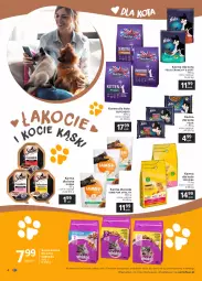 Gazetka promocyjna Carrefour - Gazetka Zoostaliśmy przyjaciółmi - Gazetka - ważna od 10.07 do 10.07.2021 - strona 4 - produkty: Iams, Whiskas, Friskies, Sheba, Felix, Sucha karma