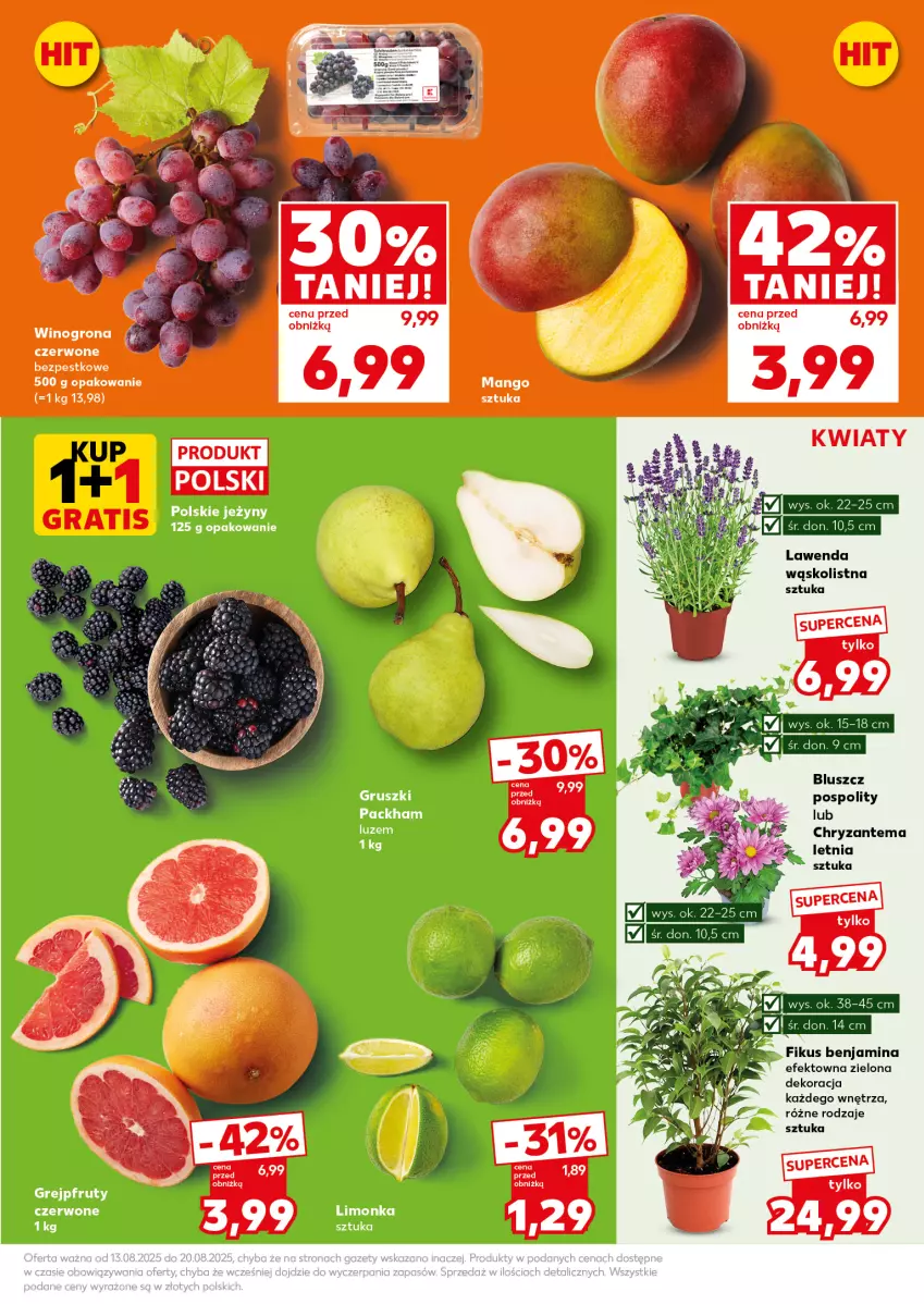 Gazetka promocyjna Kaufland - Mocny Start - ważna 18.08 do 20.08.2025 - strona 13 - produkty: Chryzantema, Grejpfrut