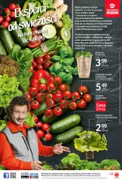 Gazetka promocyjna Selgros - Katalog eksperci od świeżości - Gazetka - ważna od 04.08 do 04.08.2021 - strona 4 - produkty: Sok, Sałata masłowa, Ogórek, Cień, Tran, Sałat, Bazyl, Bazylia, Grunt, Masło, LG, Fa