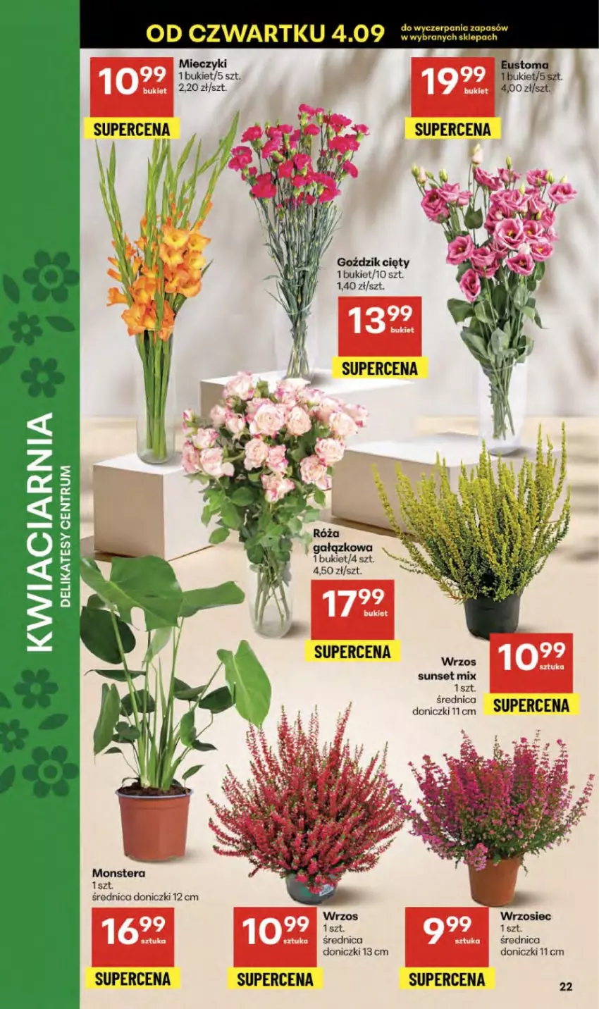 Gazetka promocyjna Delikatesy Centrum - Franczyza DC36 Czwartek - ważna 04.09 do 10.09.2025 - strona 22 - produkty: Bukiet, Miecz, Tera