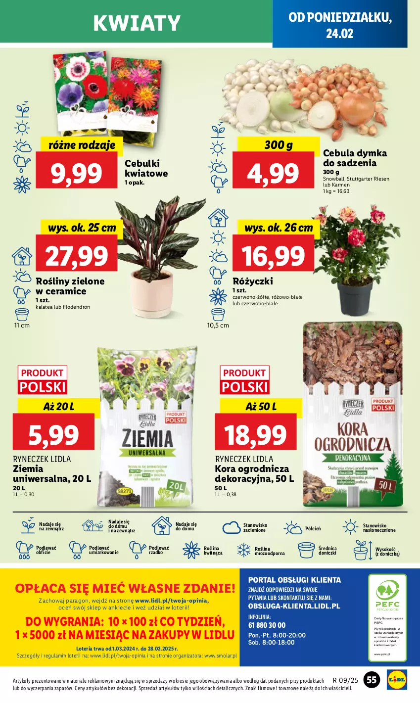 Gazetka promocyjna Lidl - GAZETKA - ważna 24.02 do 26.02.2025 - strona 59 - produkty: Cebula, Cień, Gra, Mola, O nas, Por, Sok