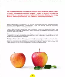 Gazetka promocyjna Lidl - Raport wpływu na gospodarkę - Gazetka - ważna od 31.12 do 31.12.2030 - strona 13 - produkty: Por, Sport