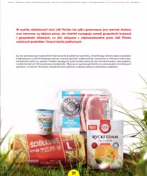 Gazetka promocyjna Lidl - Raport wpływu na gospodarkę - Gazetka - ważna od 31.12 do 31.12.2030 - strona 33 - produkty: Por, Sport