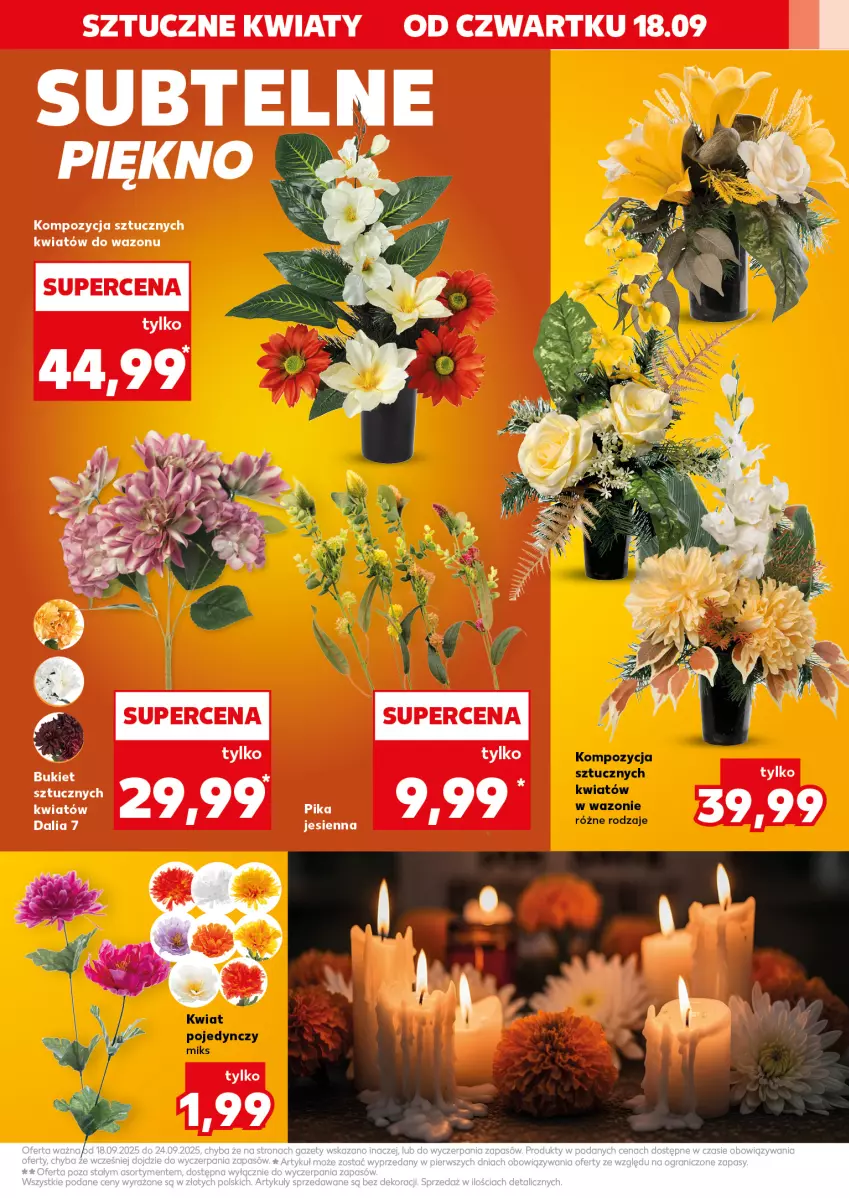 Gazetka promocyjna Kaufland - Kaufland - ważna 18.09 do 24.09.2025 - strona 19 - produkty: Wazon