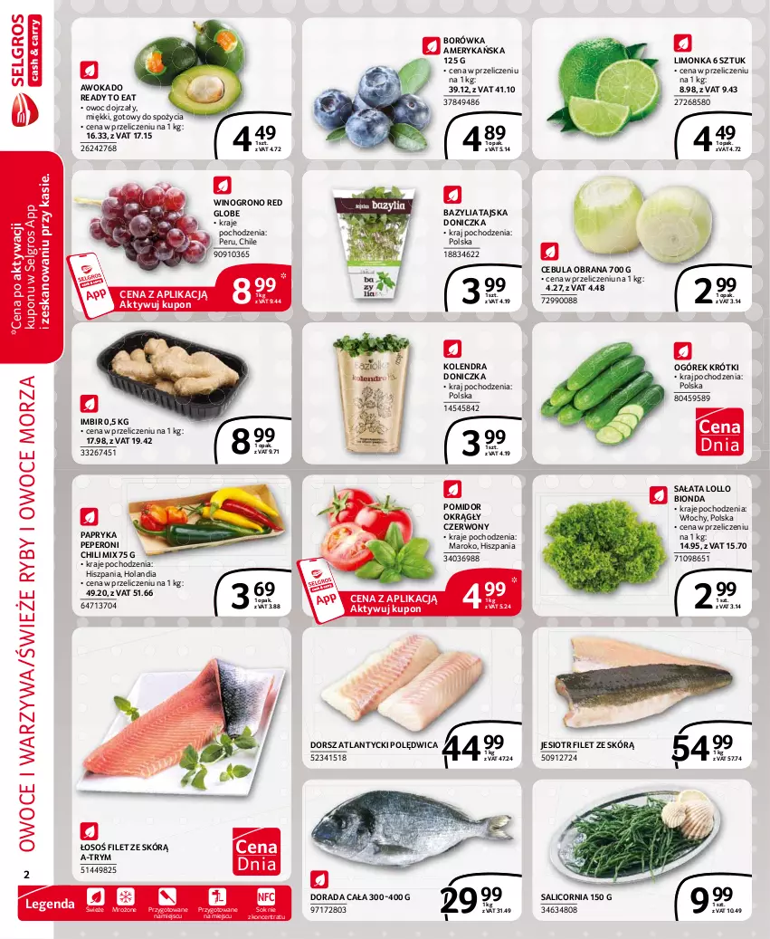 Gazetka promocyjna Selgros - Extra Oferta - ważna 01.04 do 30.04.2021 - strona 2 - produkty: Bazyl, Bazylia, Borówka, Borówka amerykańska, Cebula, Dorsz, Imbir, Kolendra, LG, Limonka, Ogórek, Owoce, Owoce morza, Papryka, Polędwica, Ryby i owoce morza, Sałat, Sok, Warzywa, Wino