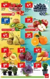 Gazetka promocyjna PoloMarket - Gazetka pomocyjna - Gazetka - ważna od 05.04 do 05.04.2022 - strona 5 - produkty: Pajac, Jabłka