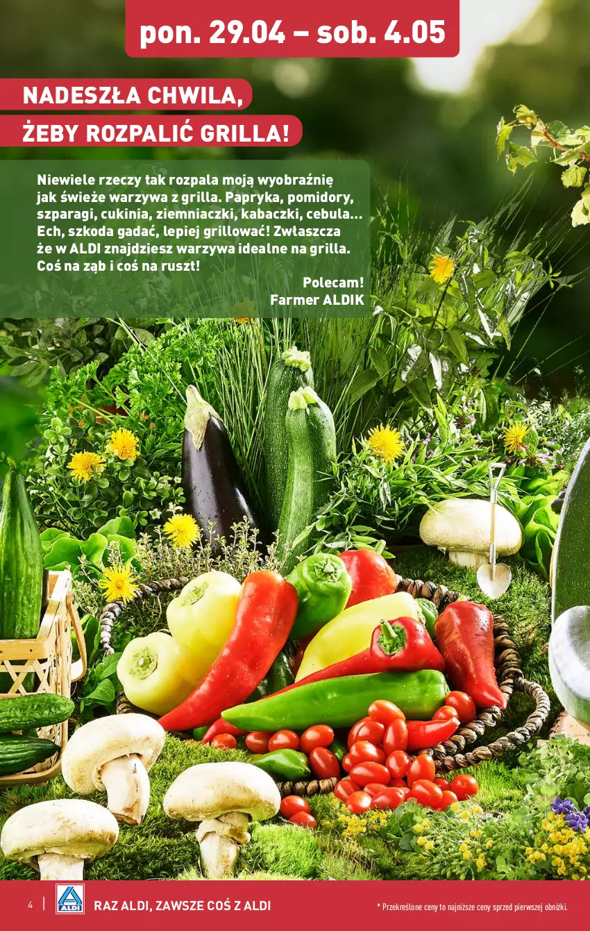 Gazetka promocyjna Aldi - Farmer ALDIK poleca świeże owoce i warzywa - ważna 29.04 do 04.05.2024 - strona 4 - produkty: Cebula, Fa, Grill, Papryka, Pomidory, Warzywa