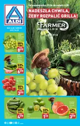 Gazetka promocyjna Aldi - Farmer ALDIK poleca świeże owoce i warzywa - Gazetka - ważna od 04.05 do 04.05.2024 - strona 1 - produkty: Winogrona, Limonka, Wino, Grunt, Grill, Pomidory, Grejpfrut