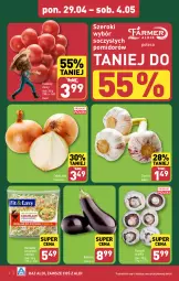 Gazetka promocyjna Aldi - Farmer ALDIK poleca świeże owoce i warzywa - Gazetka - ważna od 04.05 do 04.05.2024 - strona 2 - produkty: Piec, Cebula, Czosnek, Grill, Pomidory