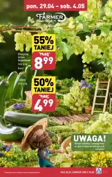 Gazetka promocyjna Aldi - Farmer ALDIK poleca świeże owoce i warzywa - Gazetka - ważna od 04.05 do 04.05.2024 - strona 5 - produkty: Tera, Winogrona, Wino, Waga
