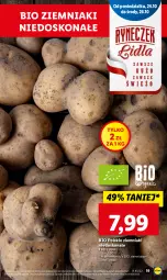 Gazetka promocyjna Lidl - GAZETKA - Gazetka - ważna od 26.10 do 26.10.2022 - strona 19 - produkty: Por, Ziemniaki