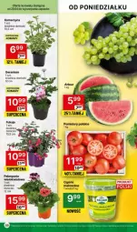 Gazetka promocyjna Delikatesy Centrum - Gazetka - ważna od 05.05 do 05.05.2024 - strona 27 - produkty: Arbuz, Pomidory
