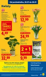 Gazetka promocyjna Lidl - GAZETKA - Gazetka - ważna od 28.01 do 28.01.2026 - strona 49 - produkty: Sok, Por, Gra, Tulipan, Portal, Tera, Laur, Mola, Bukiet, Narcyz